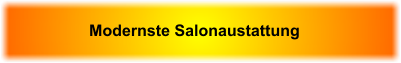 Modernste Salonaustattung